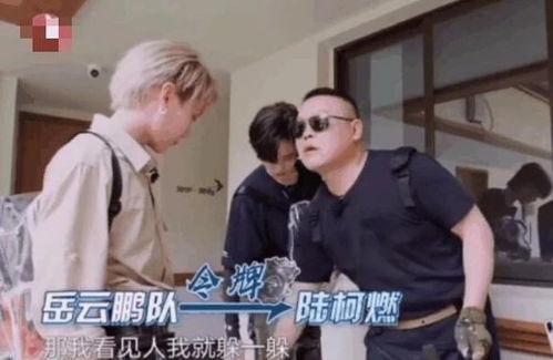 爆料农村男骗婚视频大全,视频大全曝光惊人真相